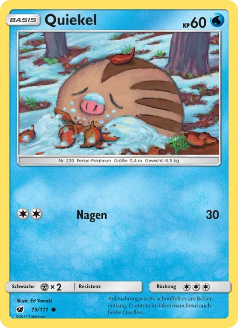 Swinub [Gnaw]