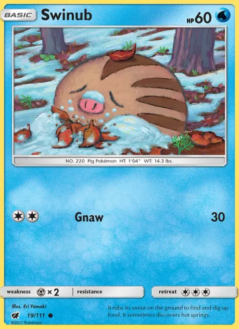 Swinub [Gnaw]