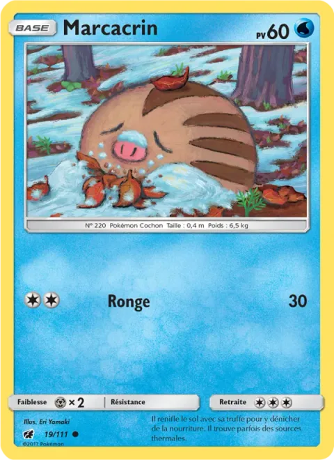 Swinub [Gnaw]