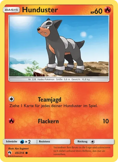 Houndour [Team Hunt | Flare]