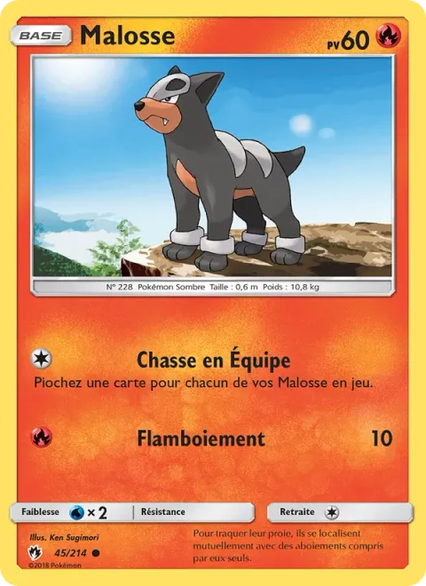 Houndour [Team Hunt | Flare]