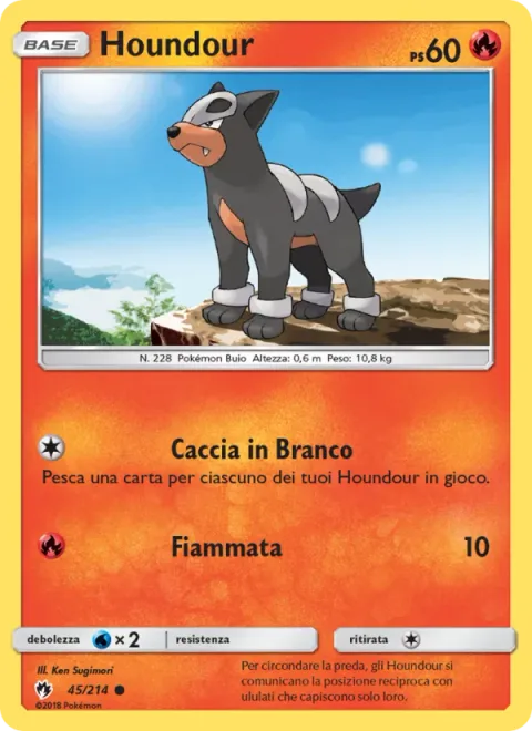 Houndour [Team Hunt | Flare]