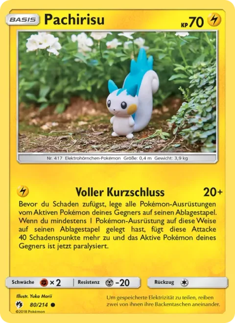 Pachirisu [Overshort]