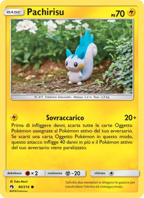 Pachirisu [Overshort]