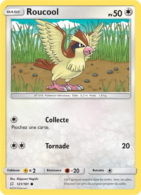 Pidgey [Collect | Gust]