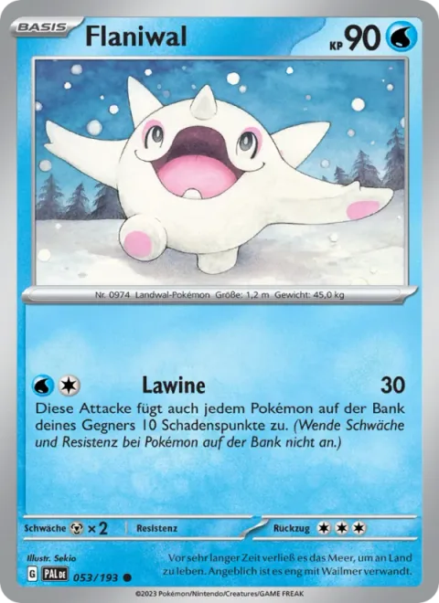 Cetoddle [Avalanche]