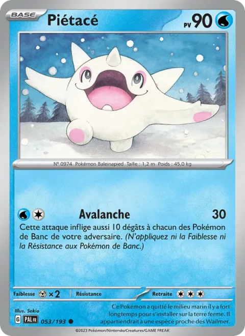 Cetoddle [Avalanche]