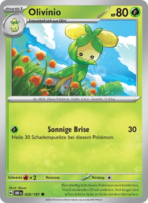 Dolliv [Sunny Wind]