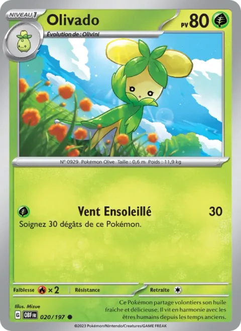 Dolliv [Sunny Wind]