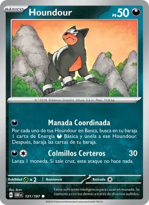 Houndour [Coordinated Pack | Focus Fangs]