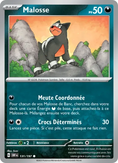 Houndour [Coordinated Pack | Focus Fangs]