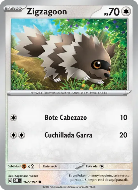 Zigzagoon [Headbutt Bounce | Claw Slash]