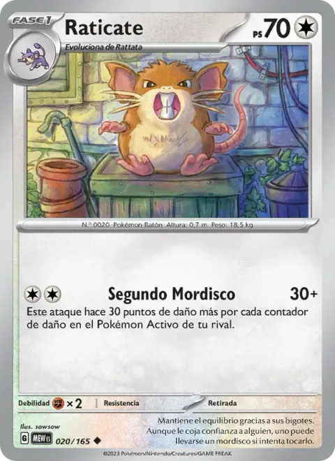 Raticate [Second Bite]