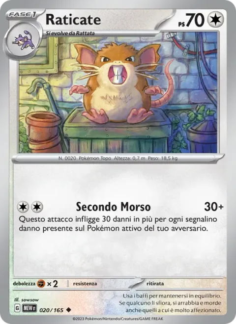 Raticate [Second Bite]