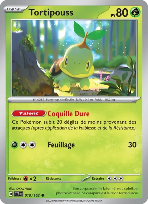 Turtwig [Solid Shell | Leafage]