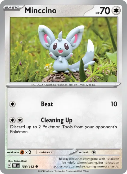 Minccino [Beat | Cleaning Up]