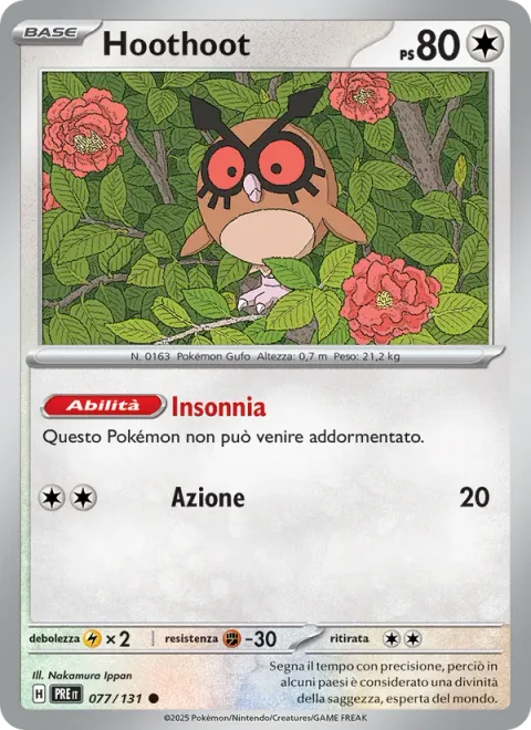 Hoothoot [Insomnia | Tackle]