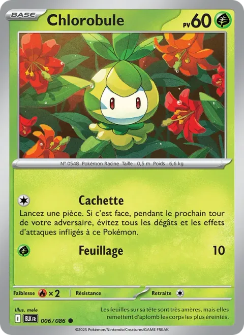 Petilil [Hide | Leafage]