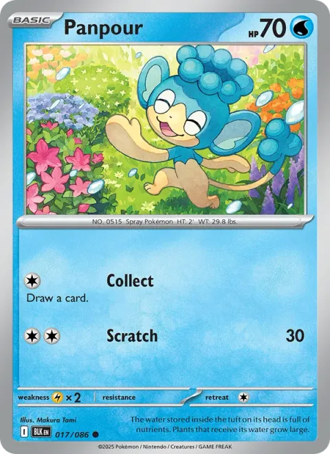 Panpour [Collect | Scratch | SV]