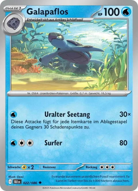 Tirtouga [Ancient Seaweed | Surf]