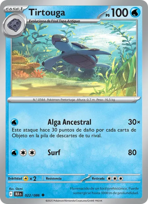 Tirtouga [Ancient Seaweed | Surf]
