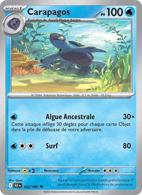 Tirtouga [Ancient Seaweed | Surf]