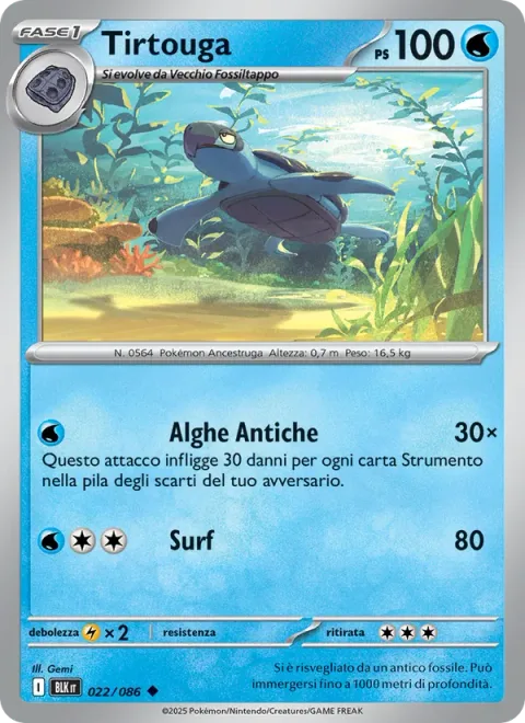 Tirtouga [Ancient Seaweed | Surf]