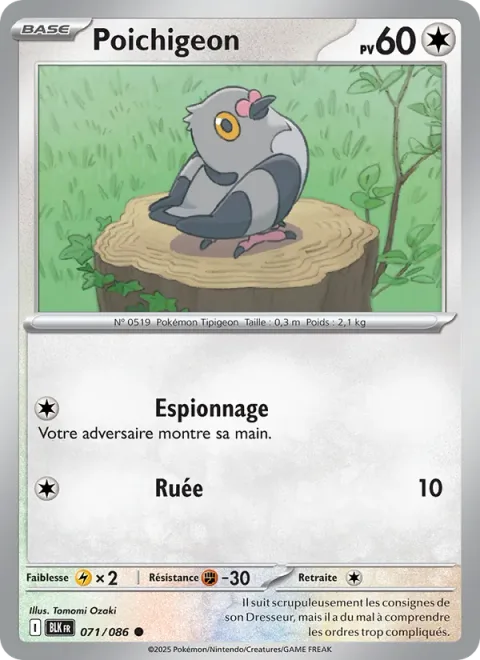 Pidove [Scout | Stampede]