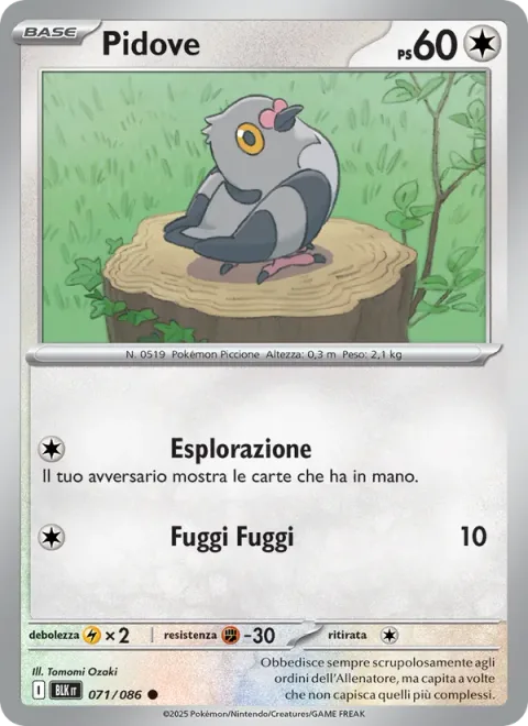Pidove [Scout | Stampede]