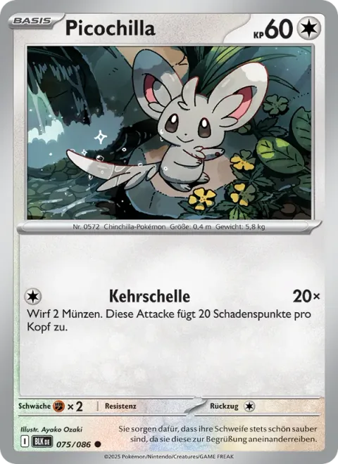 Minccino [Tail Slap | SV]