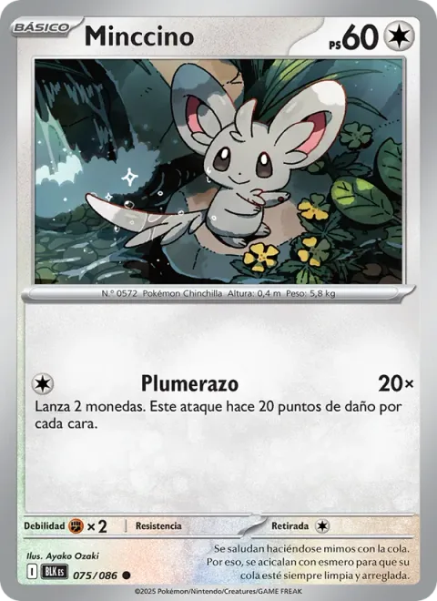 Minccino [Tail Slap | SV]