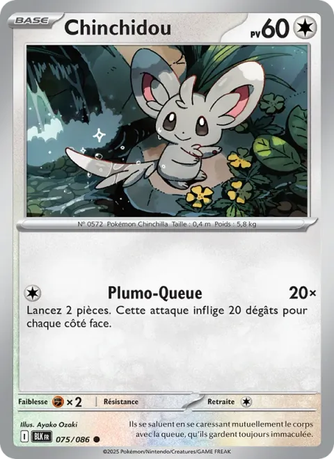Minccino [Tail Slap | SV]