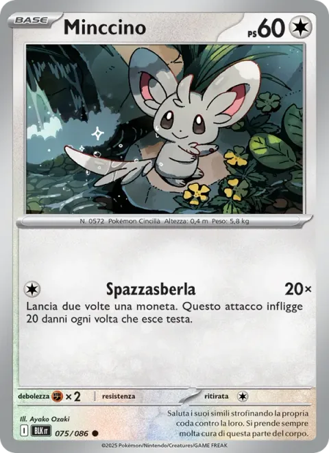 Minccino [Tail Slap | SV]