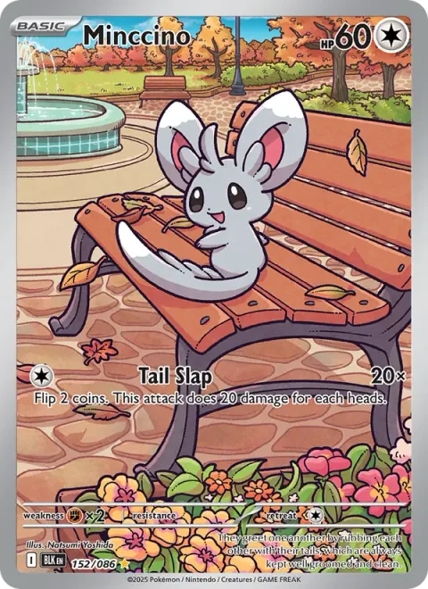 Minccino [Tail Slap | SV]