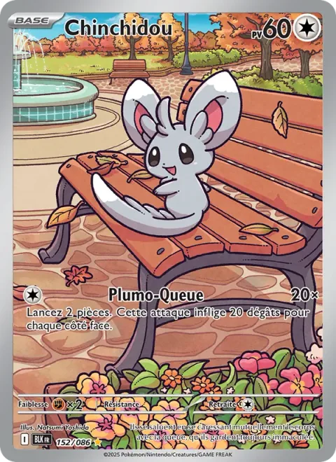 Minccino [Tail Slap | SV]