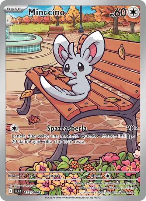Minccino [Tail Slap | SV]