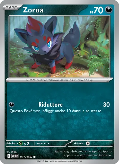 Zorua [Take Down]