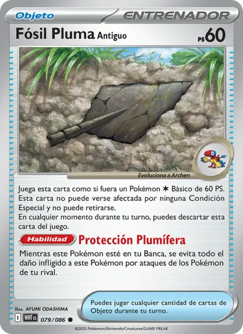 Antique Plume Fossil