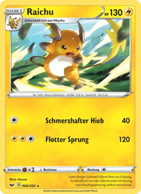 Raichu [Pain-Full Punch | Mach Bolt]