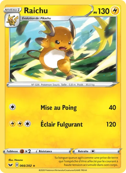 Raichu [Pain-Full Punch | Mach Bolt]