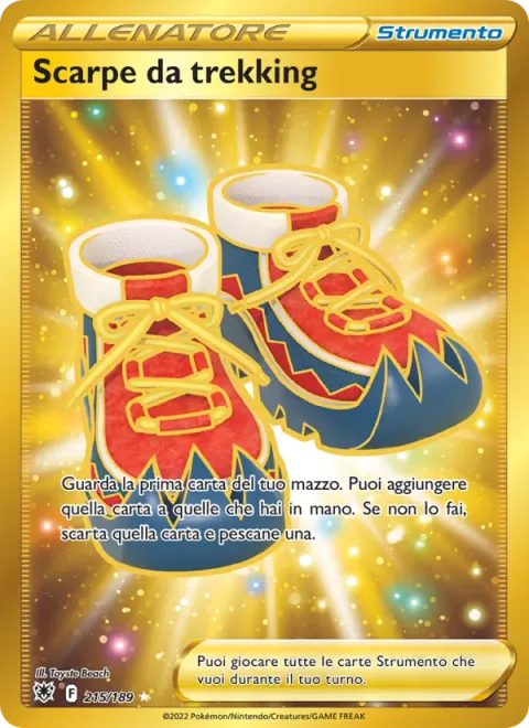 Trekking Shoes