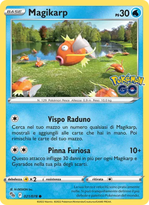 Magikarp [Lively Grouping | Raging Fin]