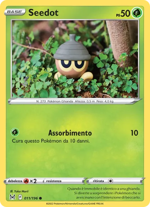 Seedot [Absorb]