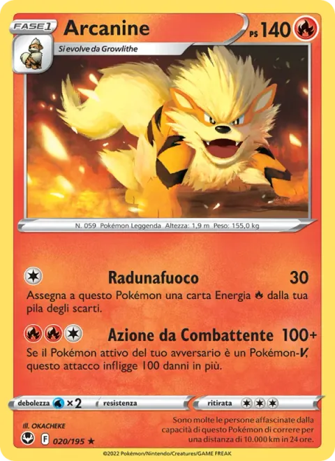 Arcanine [Flame Cloak | Fighting Tackle]