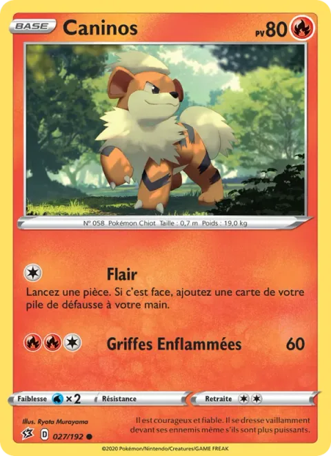 Growlithe [Odor Sleuth | Fire Claws]