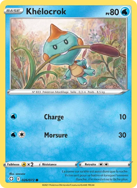 Chewtle [Tackle | Bite]