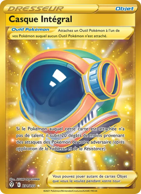 Full Face Guard