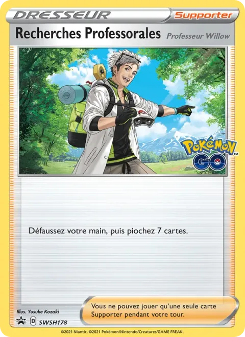 Professor's Research - Professor Willow