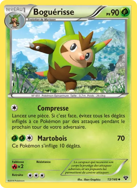 Quilladin [Scrunch | Wood Hammer]