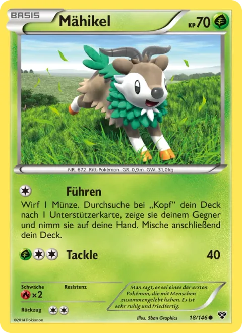 Skiddo [Lead | Tackle]